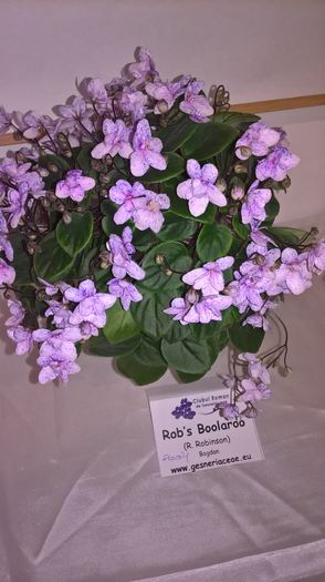 WP_20160514_13_22_41_Pro