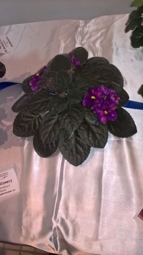 WP_20160514_13_17_35_Pro