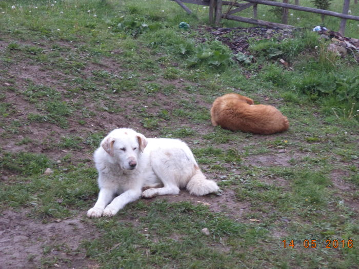 Odihna inaintea drumului