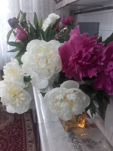 20160515_101100 - Florile mele