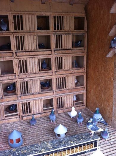 13227988_979343715468793_1301120290_n