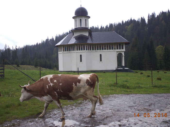 Manastirea de la Gura Izvorului