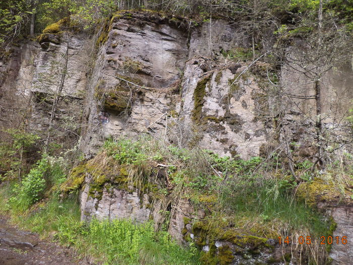 Bazalt sau granit