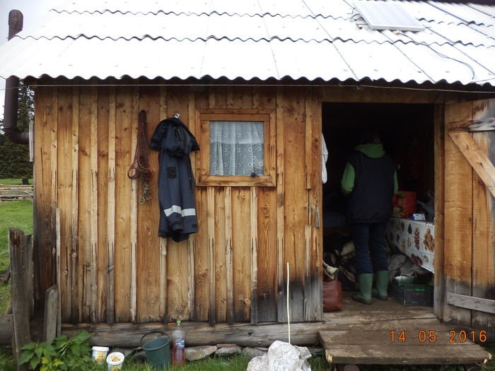 in fata stanii