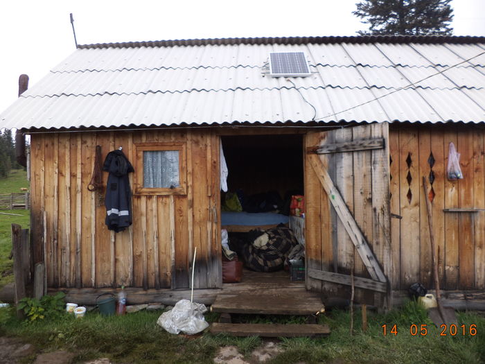 in fata stanii-76