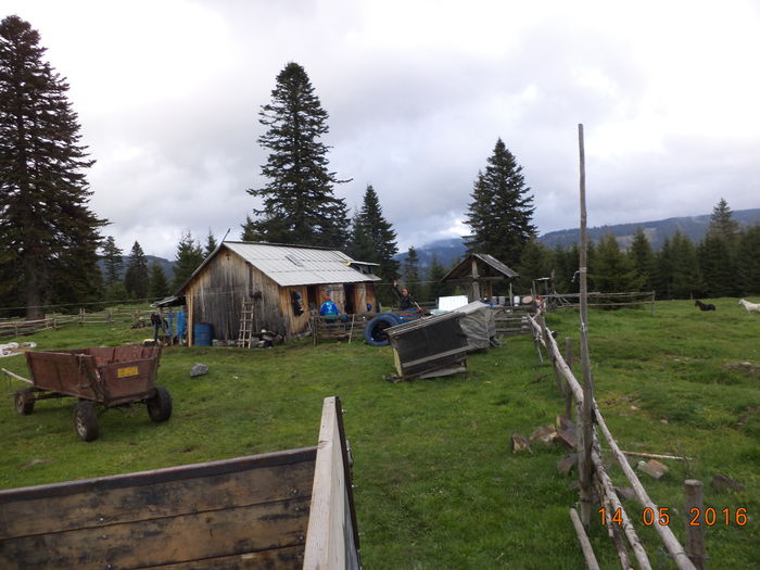 venim cu tractorul acasa