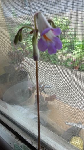 20160515_133706