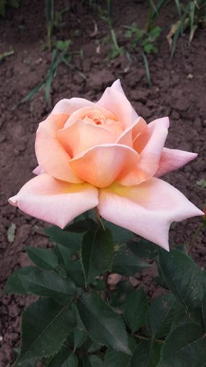 20160514_161109
