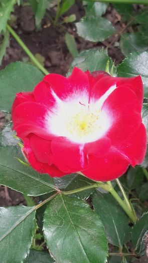 20160514_161315