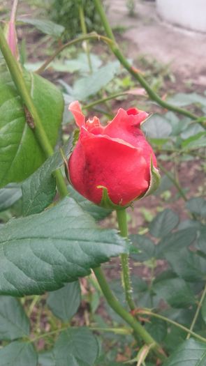 20160513_130329
