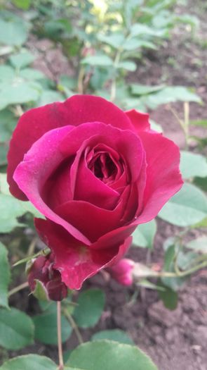 20160513_130405