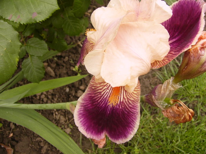 P1260755
