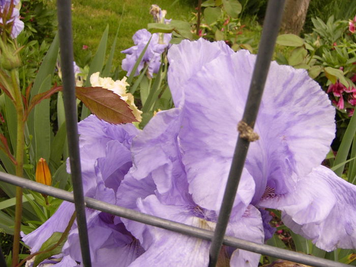 P1260764
