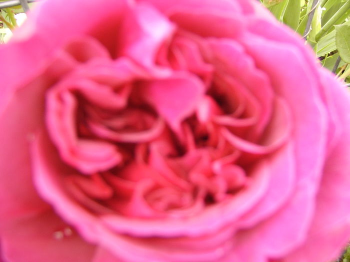 P1260765