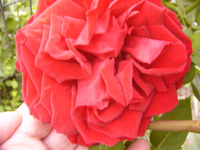 P1260767