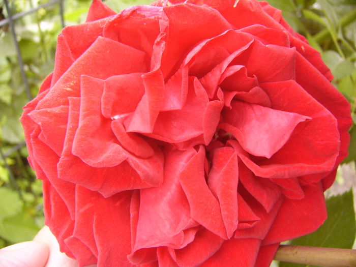 P1260768