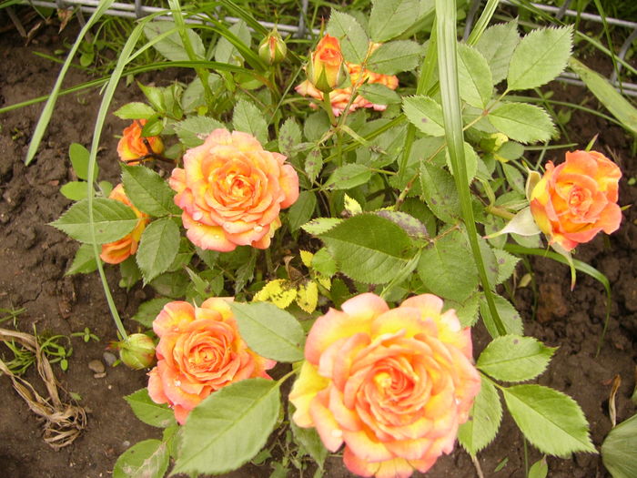 P1260770