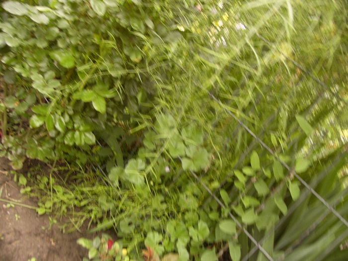 P1260778