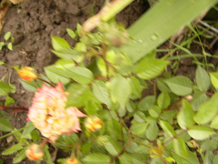 P1260780