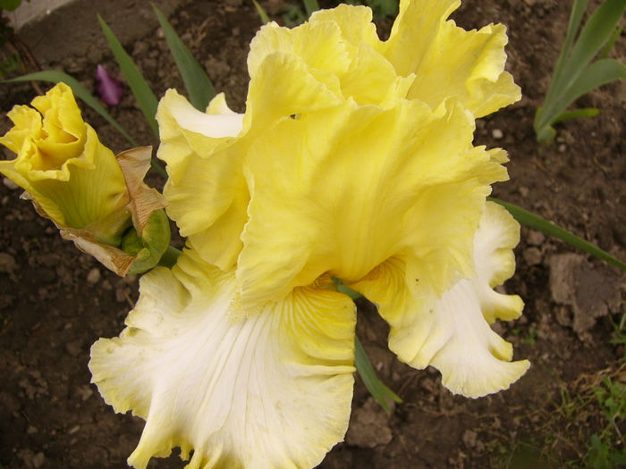 P1260860