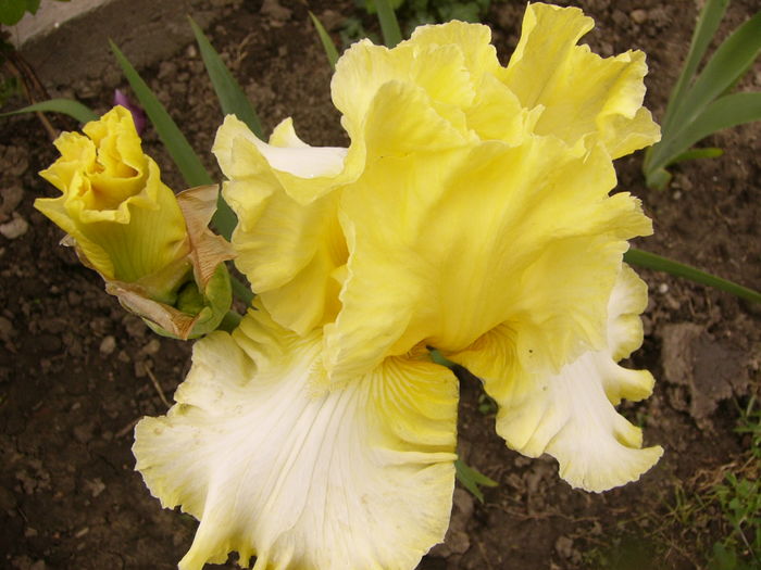 P1260861
