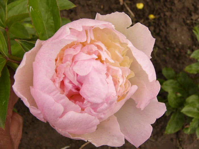 P1260870