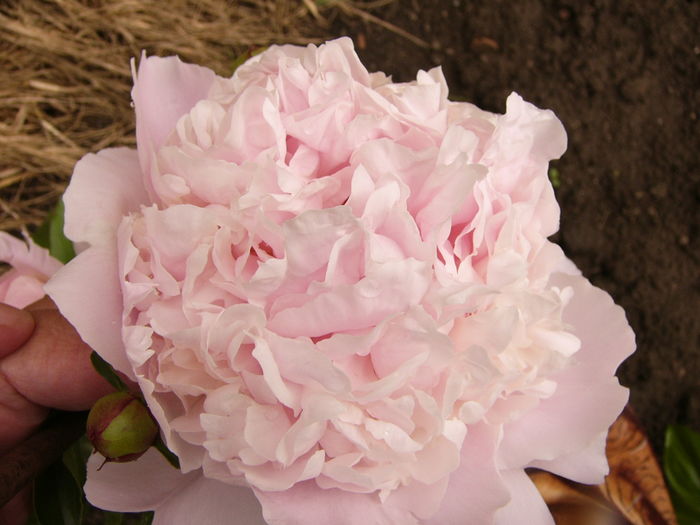 P1260877