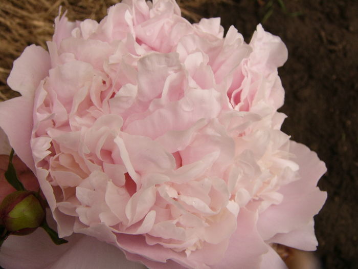 P1260879