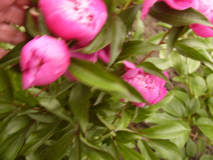 P1260888
