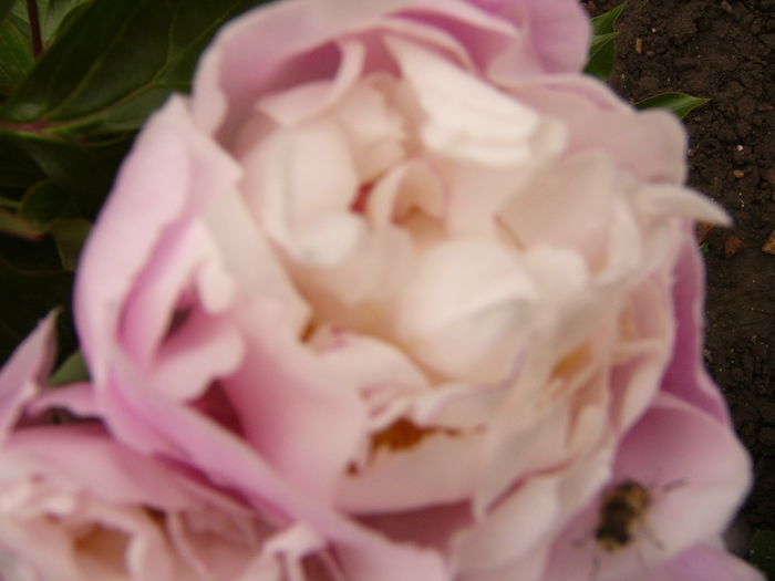 P1260897