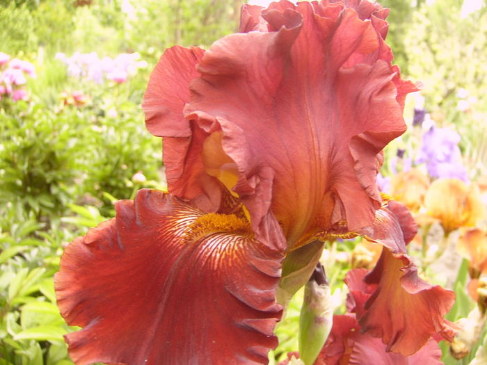 P1270002