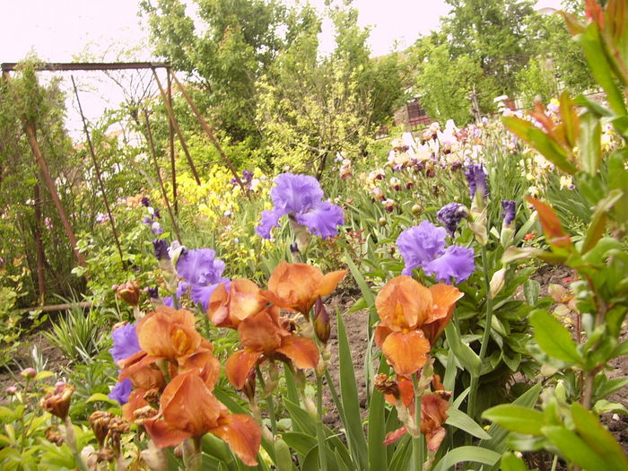 P1270005