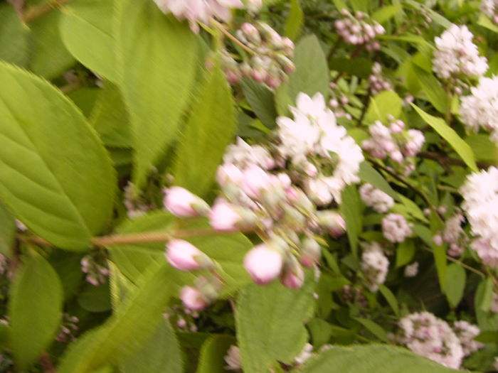 P1270007
