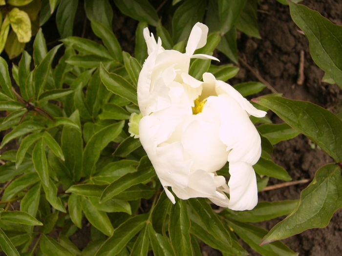 P1270017