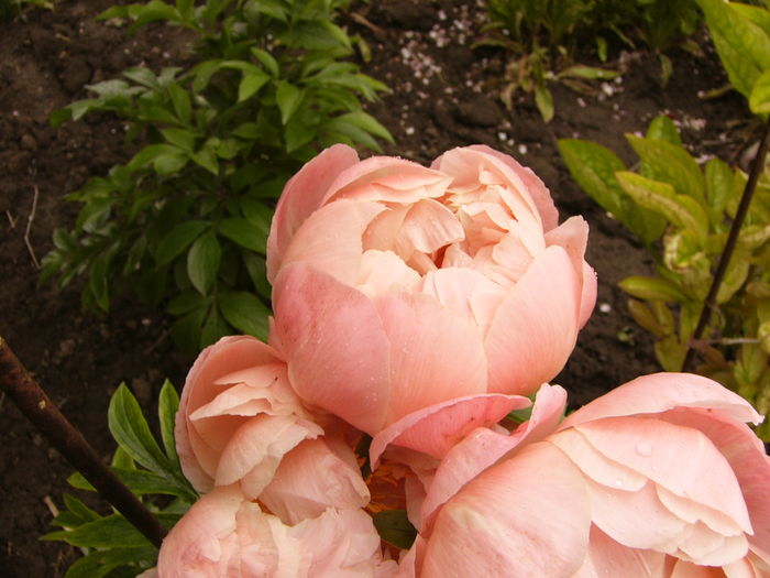 P1270020
