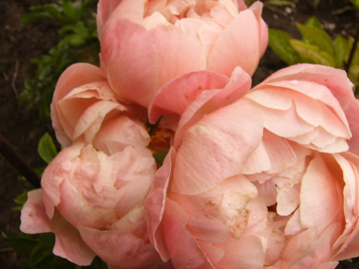 P1270022