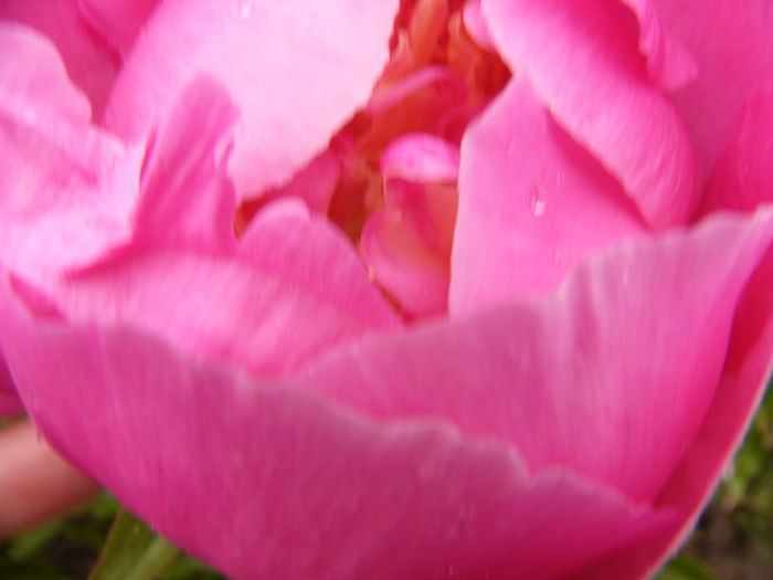 P1270023