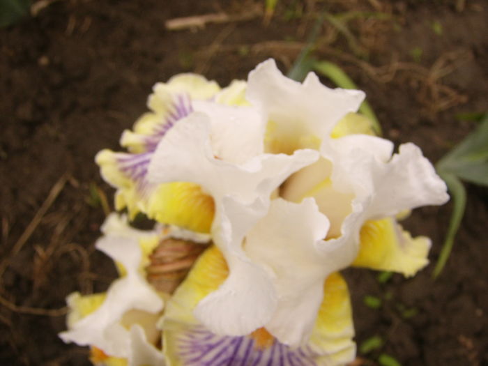 P1270028