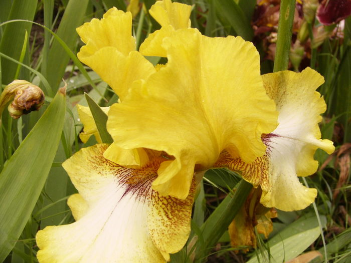 P1270033