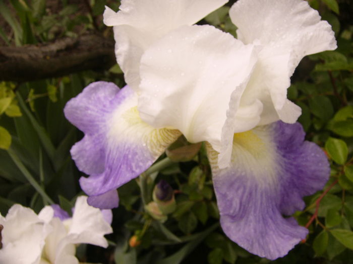 P1270082