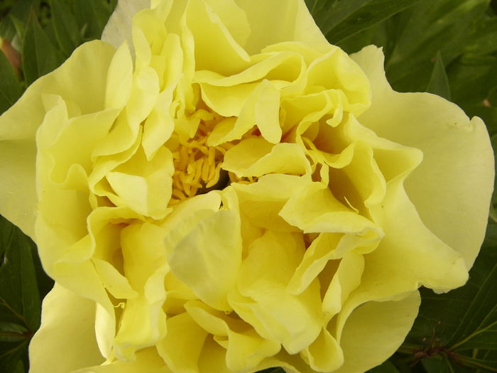 P1270095