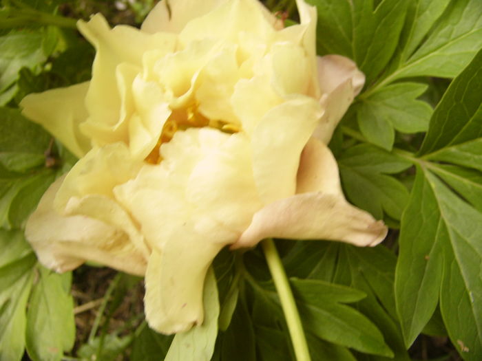 P1270101