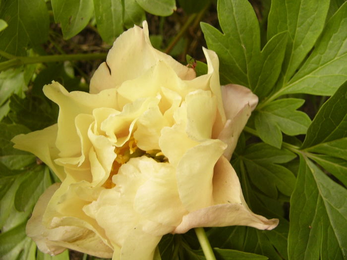 P1270102