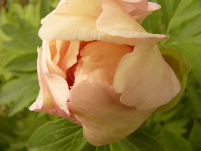 P1270106