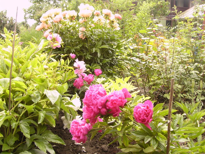 P1270124