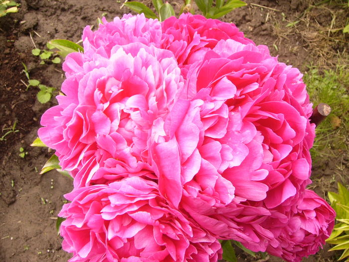 P1270128