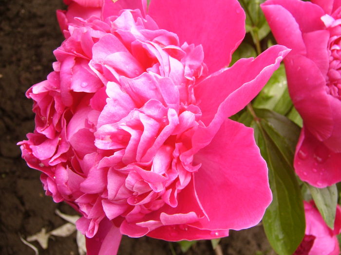 P1270134