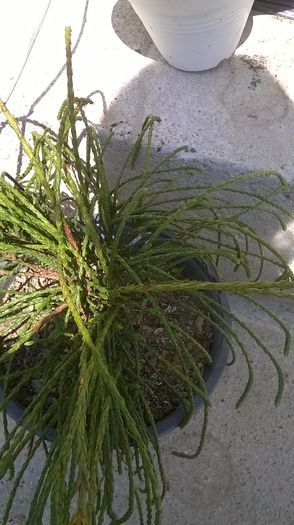 WP_20150528_10_51_01_Pro