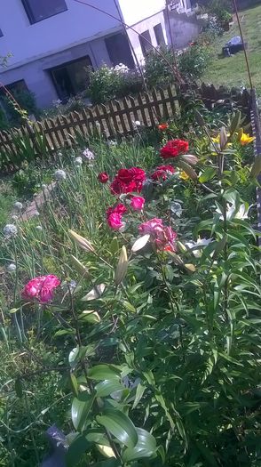 WP_20150708_08_33_12_Pro