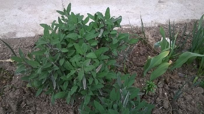 WP_20150726_13_13_59_Pro